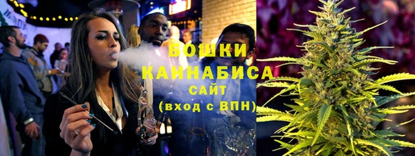 сатива Белокуриха