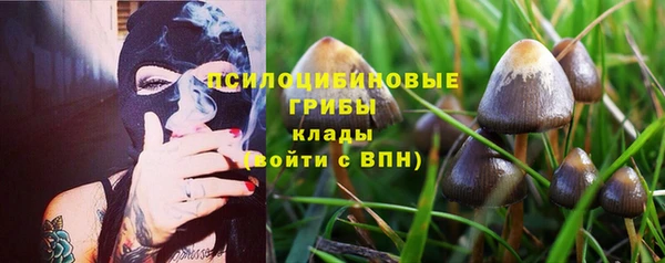 сатива Белокуриха