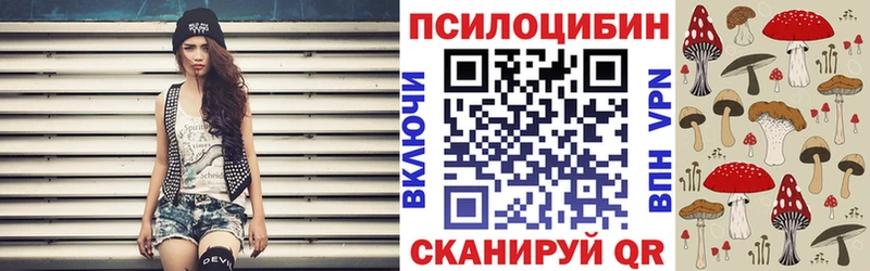 Псилоцибиновые грибы мухоморы  купить  цена  Моршанск 